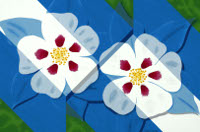 columbines